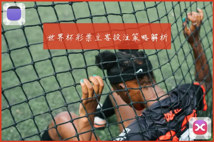 世界杯彩票主客投注策略解析