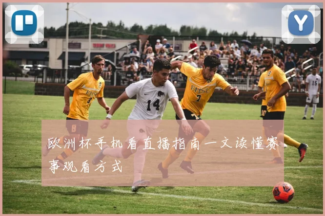 欧洲杯手机看直播指南一文读懂赛事观看方式