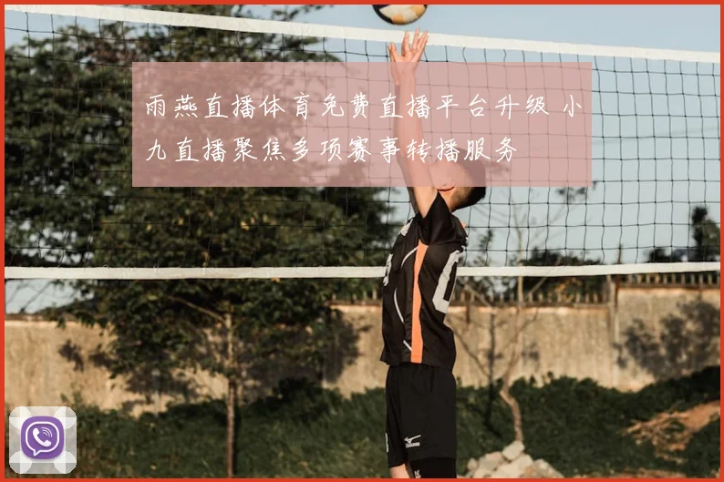 雨燕直播体育免费直播平台升级 小九直播聚焦多项赛事转播服务