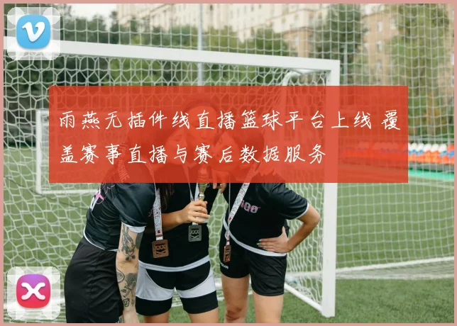 雨燕无插件线直播篮球平台上线 覆盖赛事直播与赛后数据服务