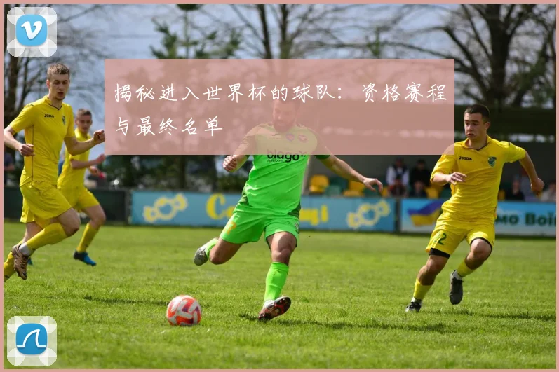 揭秘进入世界杯的球队：资格赛程与最终名单
