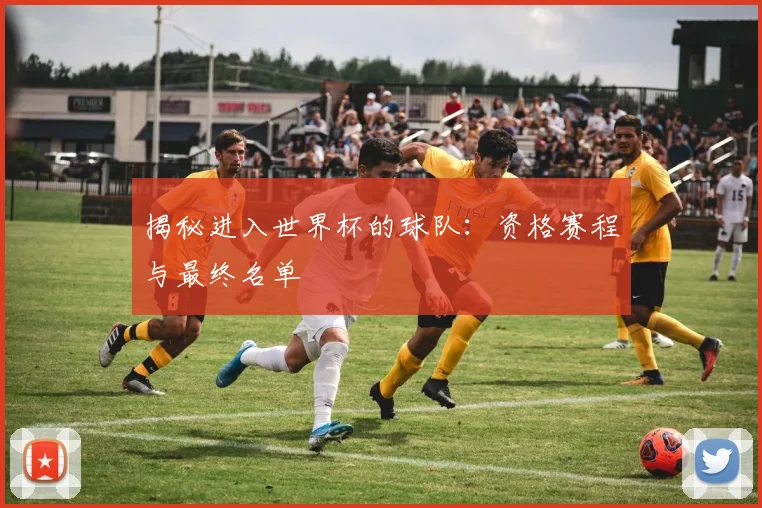 揭秘进入世界杯的球队：资格赛程与最终名单