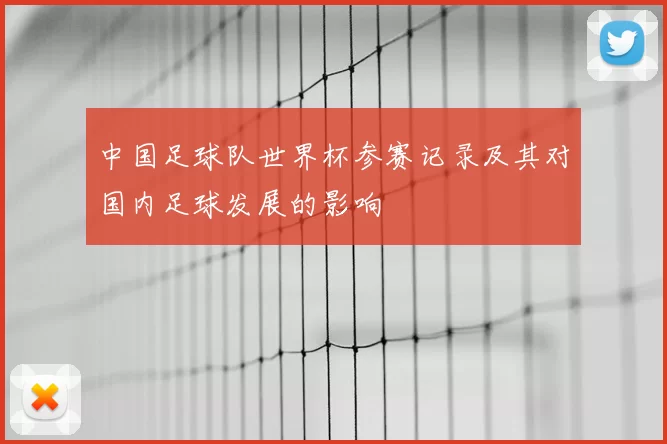 中国足球队世界杯参赛记录及其对国内足球发展的影响