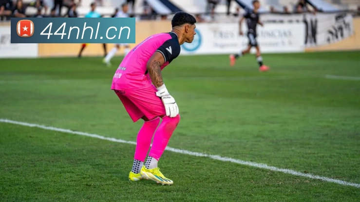 世界杯在线观看官网APP 封面图